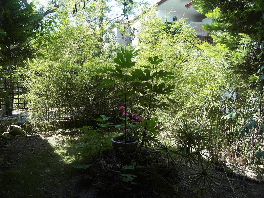 Charming Maisonette Polychrono Bagian luar foto