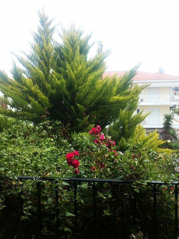 Charming Maisonette Polychrono Bagian luar foto